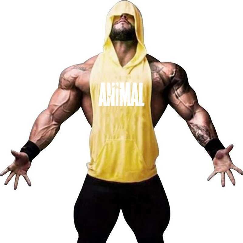 Animal 9