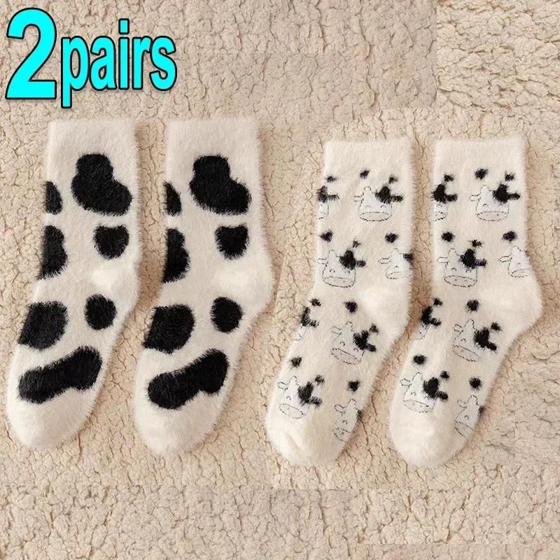 2pairs-spot cow