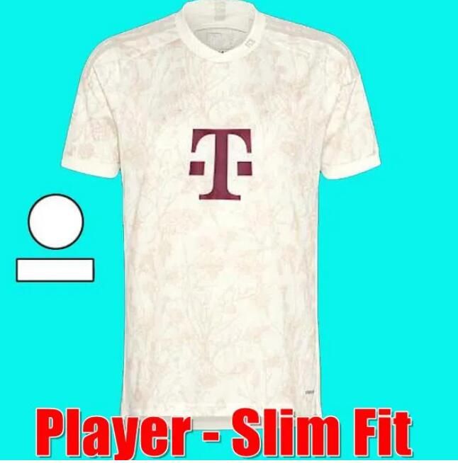 Player version