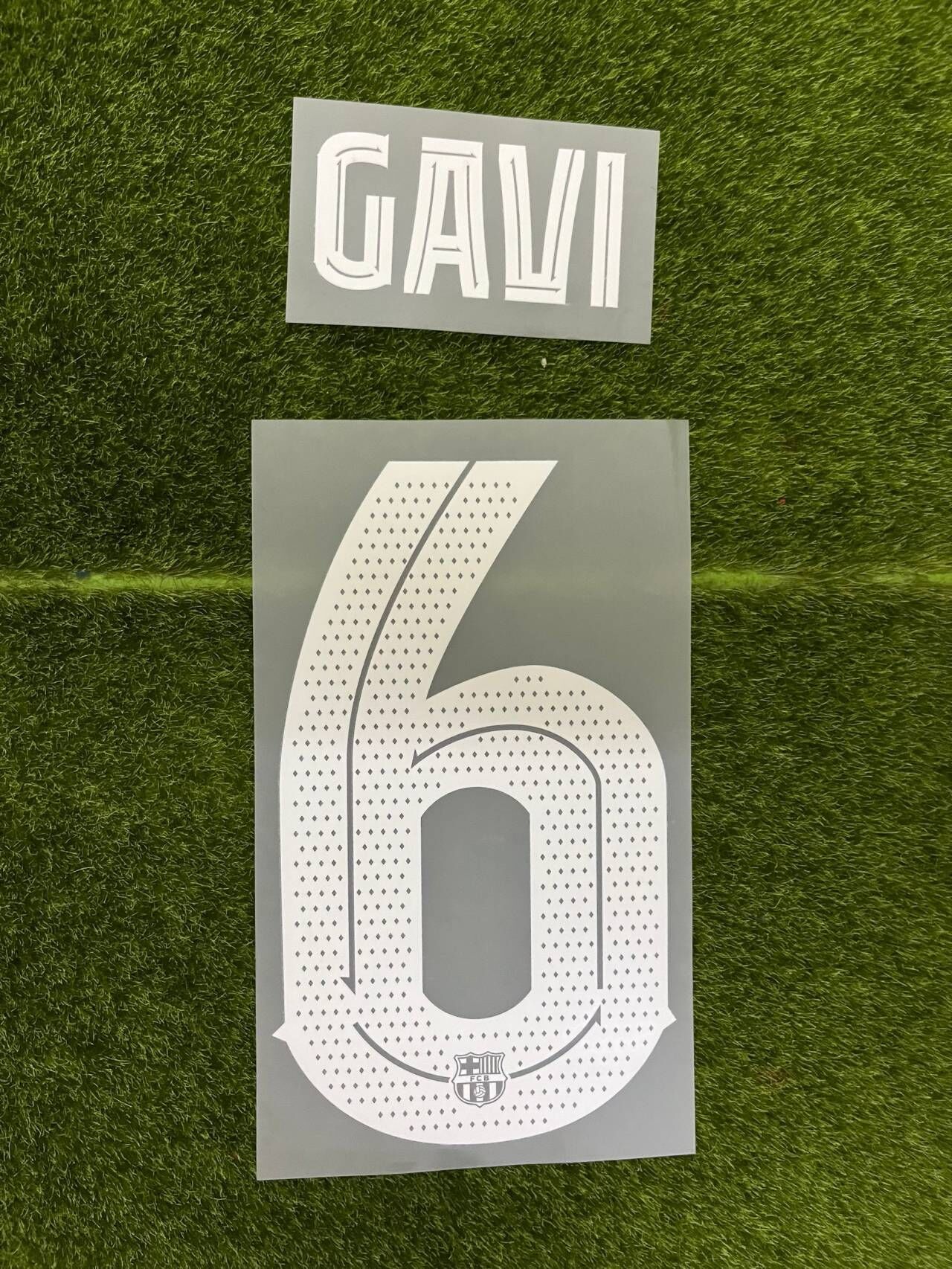 #6 GAVI