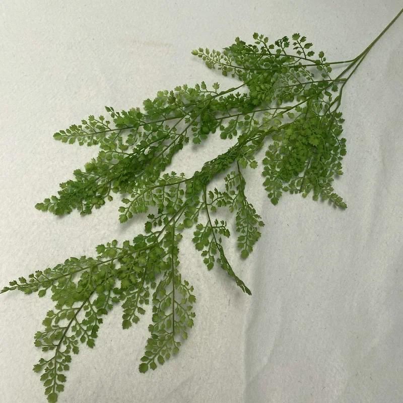 Small cypress leaf