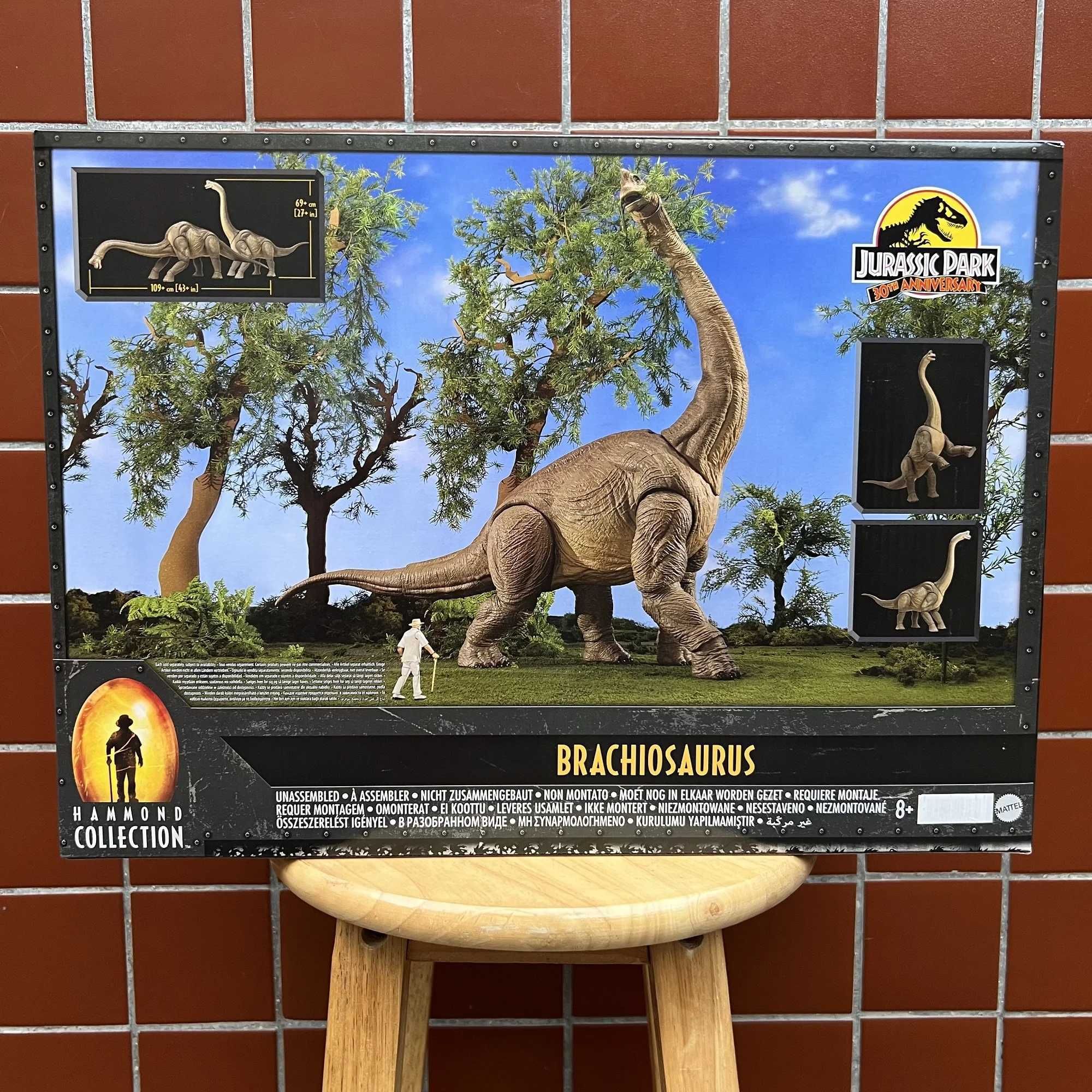 HNY77 Brachiosaurus