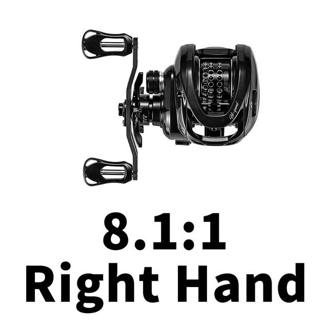 8.1 Right-Other-8