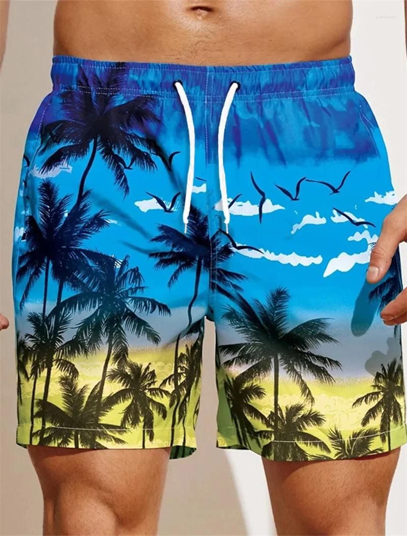 Shorts-PYA35067