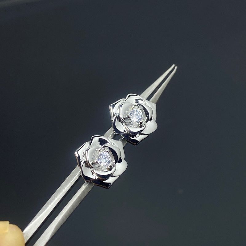 Boucles d'oreilles / argent