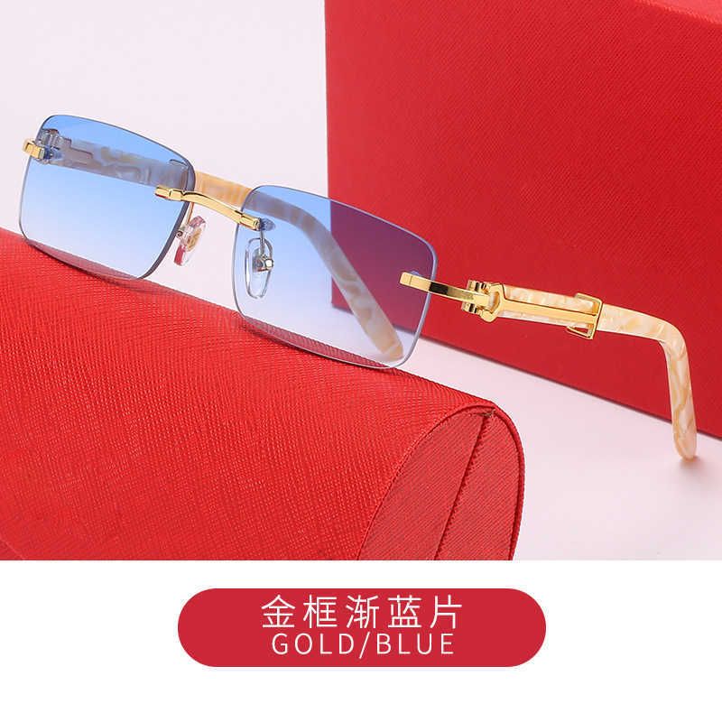 C3 Gold Frame Double Blue Chip