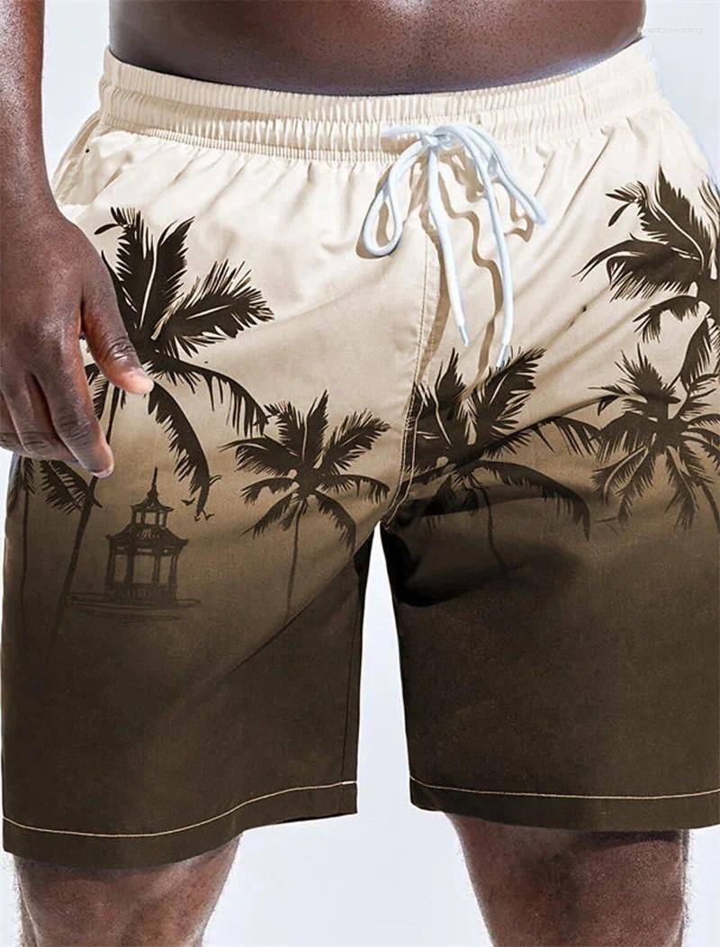 Shorts-PYA35079