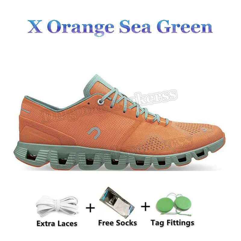 X Orange Sea Green