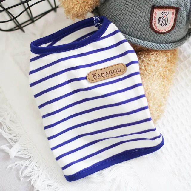 Blue Striped