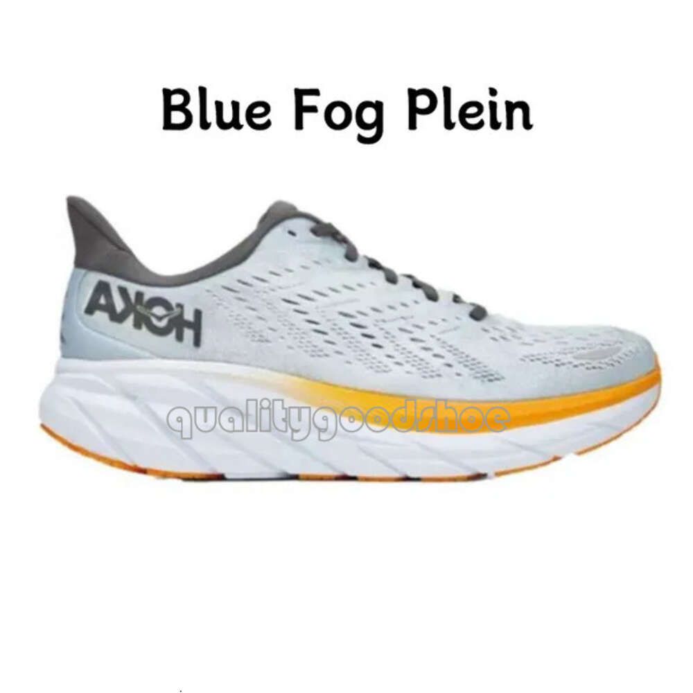 31 Blue Fog Plein