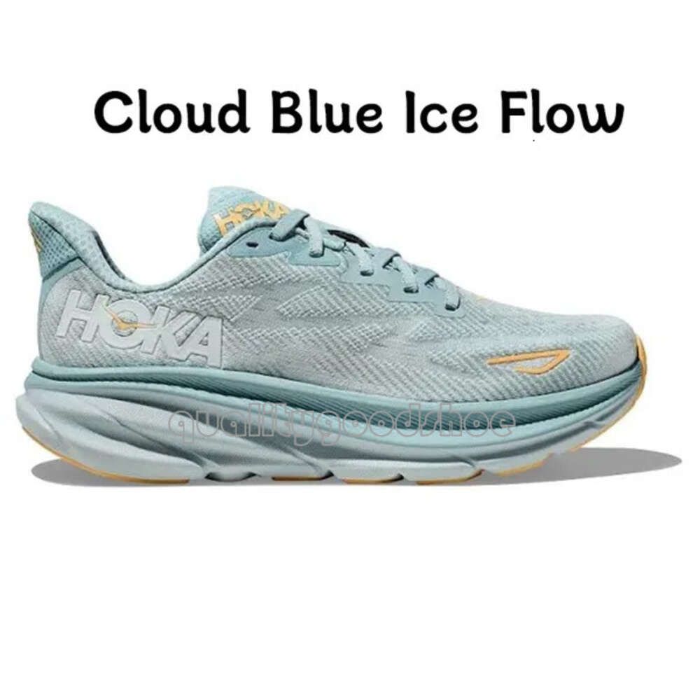 9 Cloud Blue Ice Flow