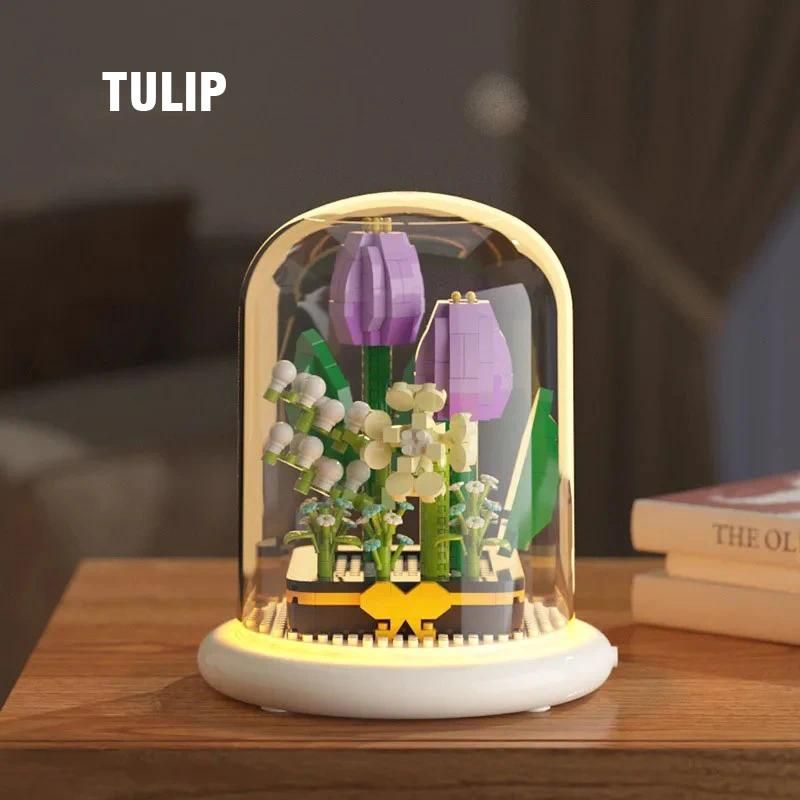  Tulips