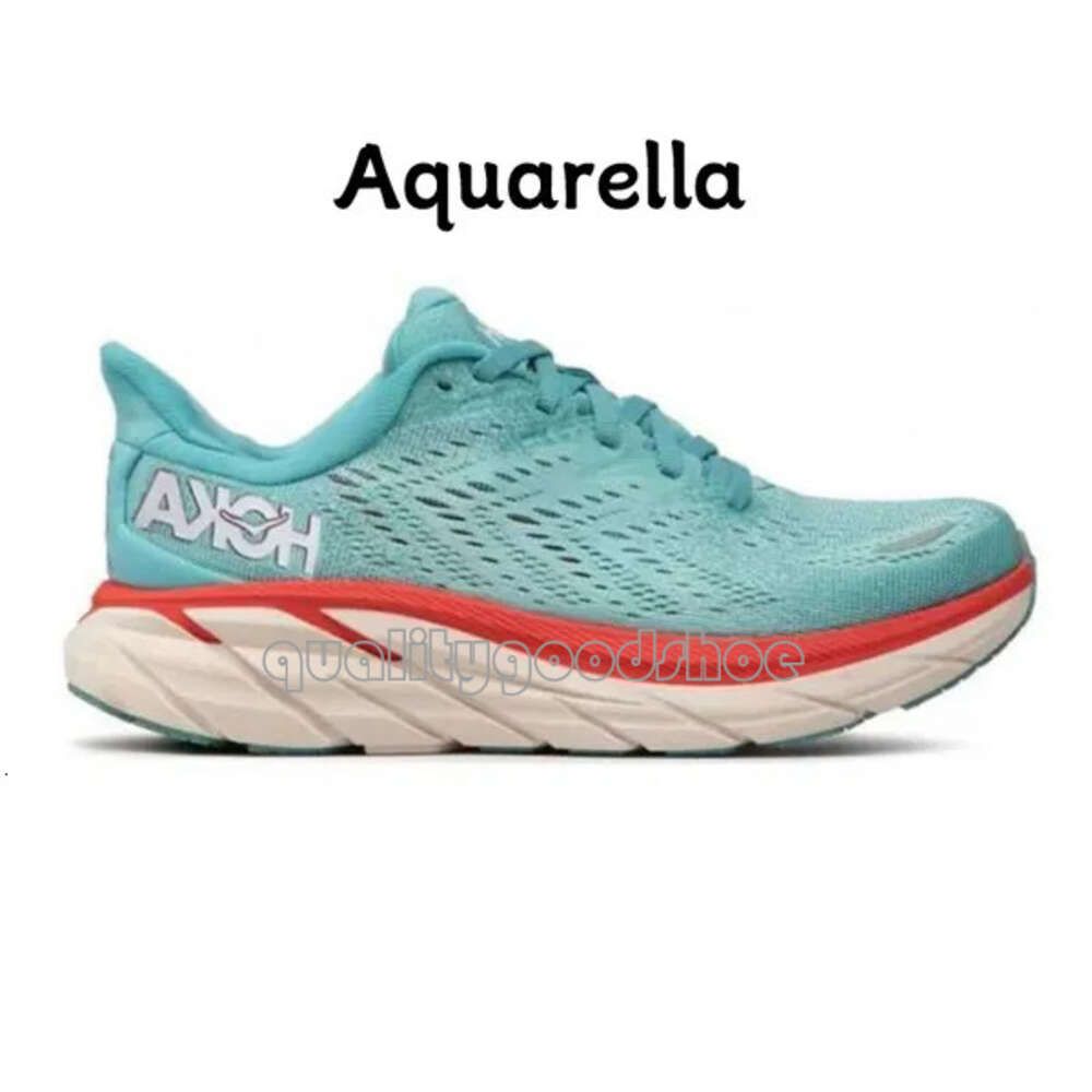 34 Aquarella