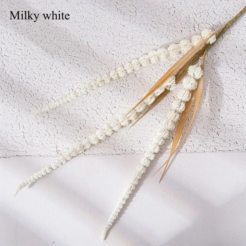 Milky White