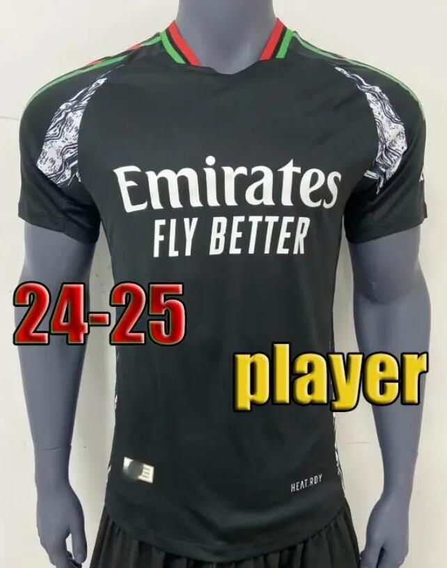 Player version