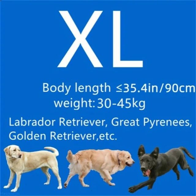 Xl