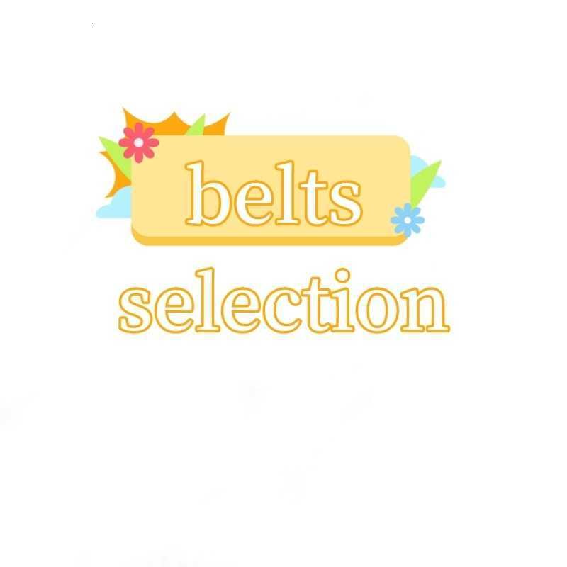 1_Belts-Project