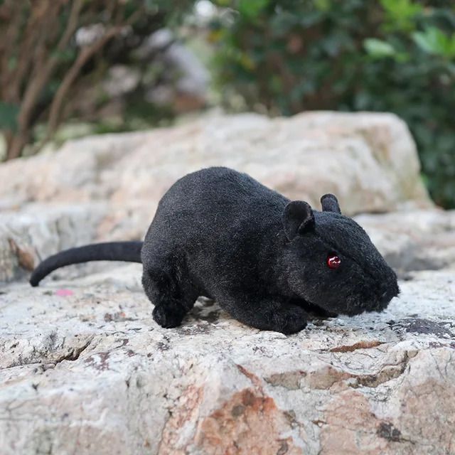 Black Rat 17cm l