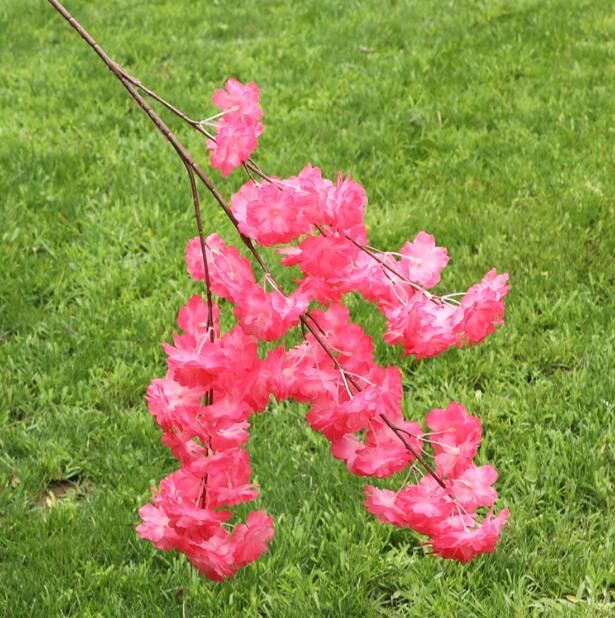 Begonia Red