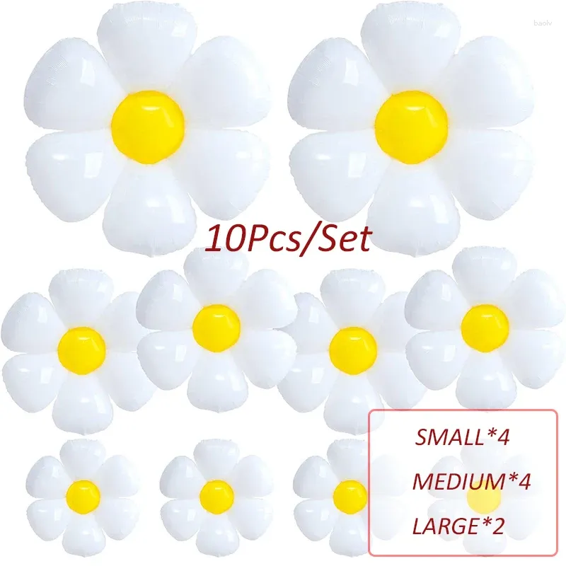 Rx-10pcs-daisy als Bild