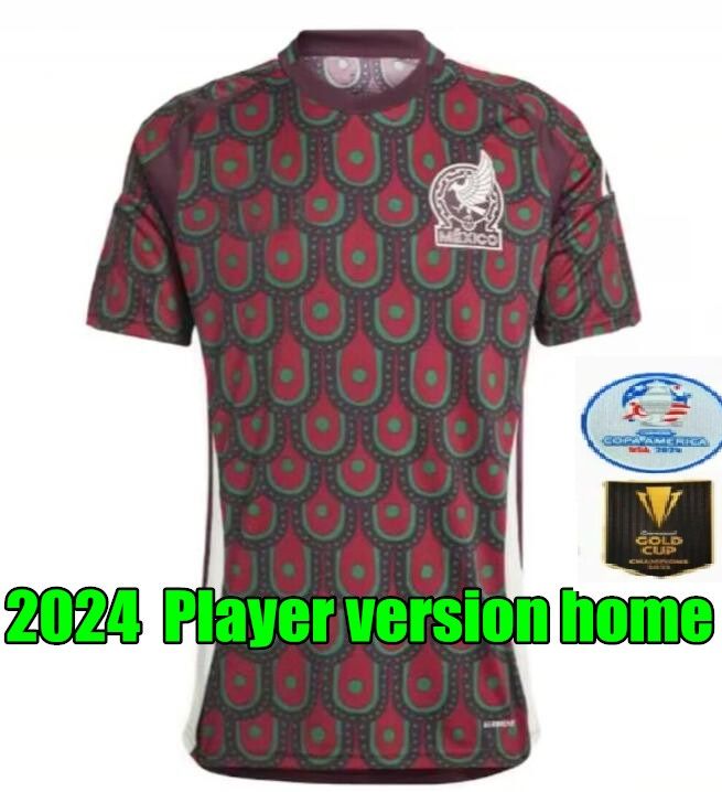 Player version home+Copa America patch