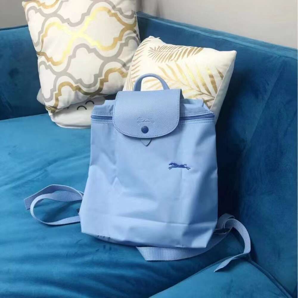 Blue Backpack