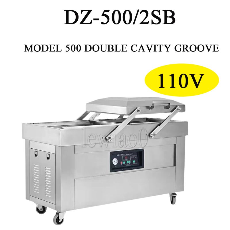 DZ-500/2SB 110V