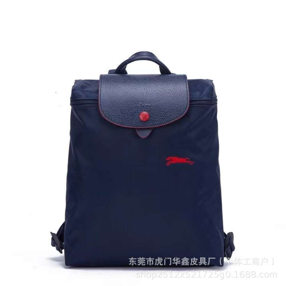 Backpack  Navy Blue