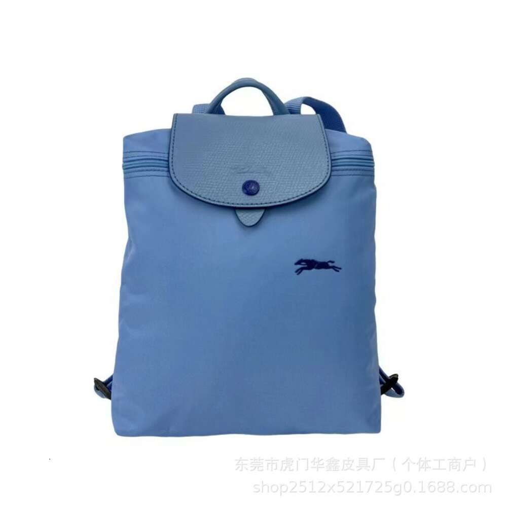 Backpack  Blue