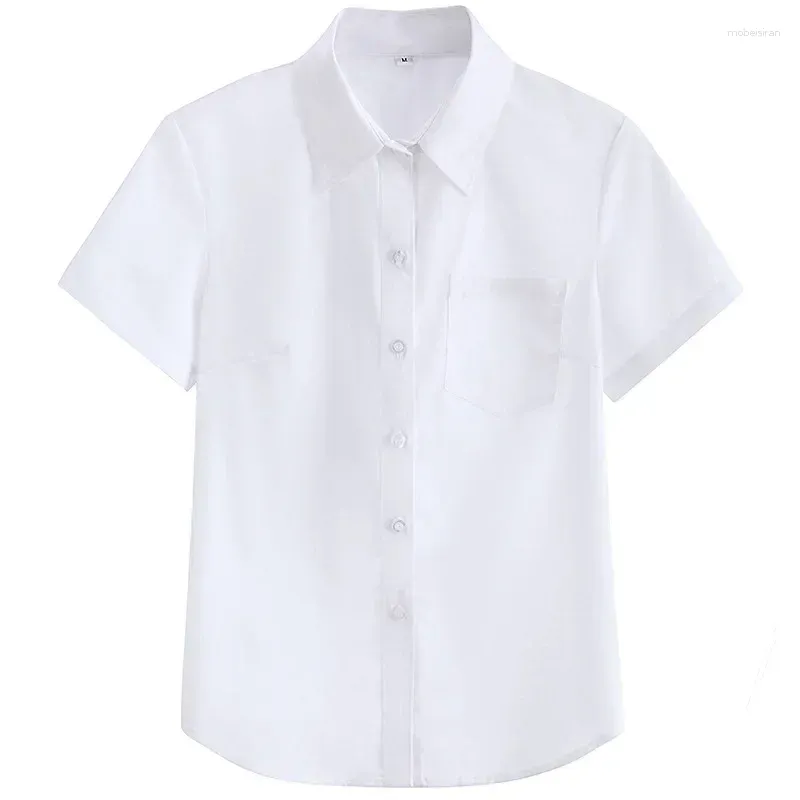 Only White Shirt