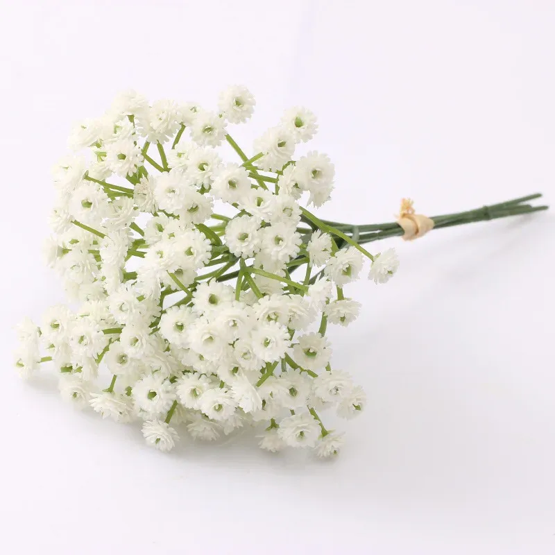 White Gypsophila