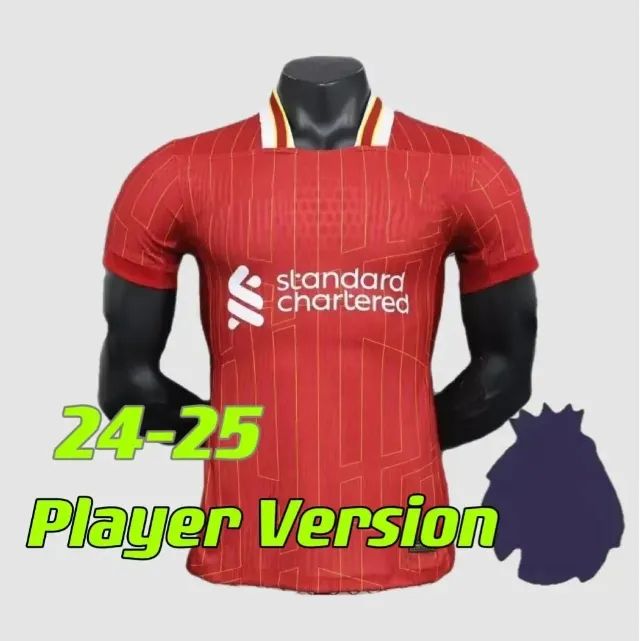24 25 Player EPL Patch