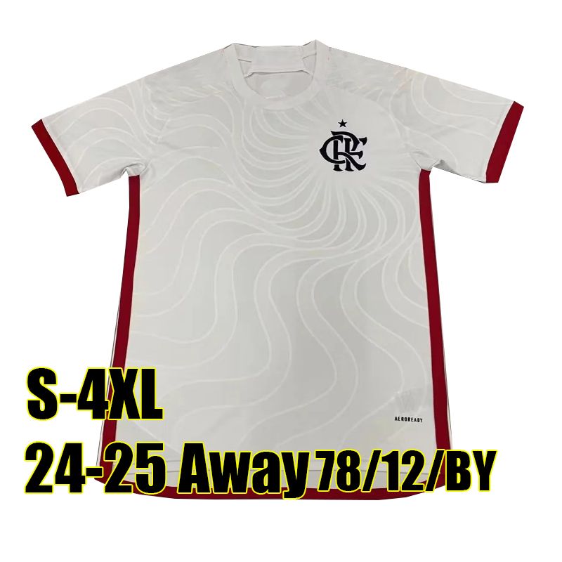 Flamenge 24-25 Away