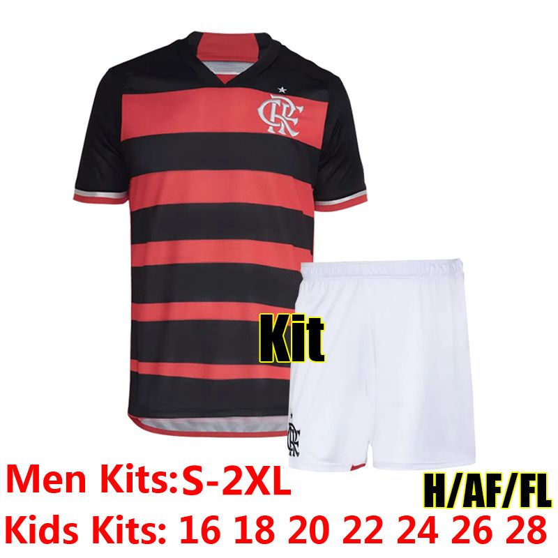 Flamenge 24-25 Home Kit