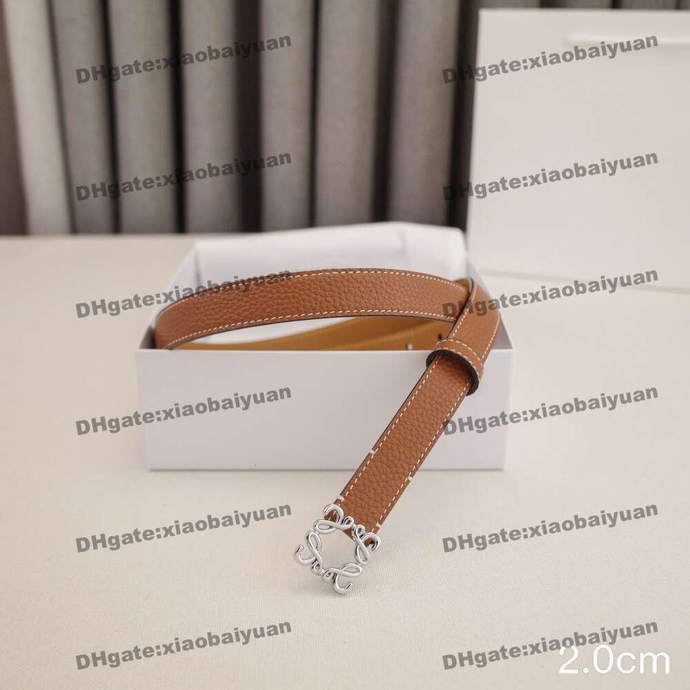 6 brown+silver buckle