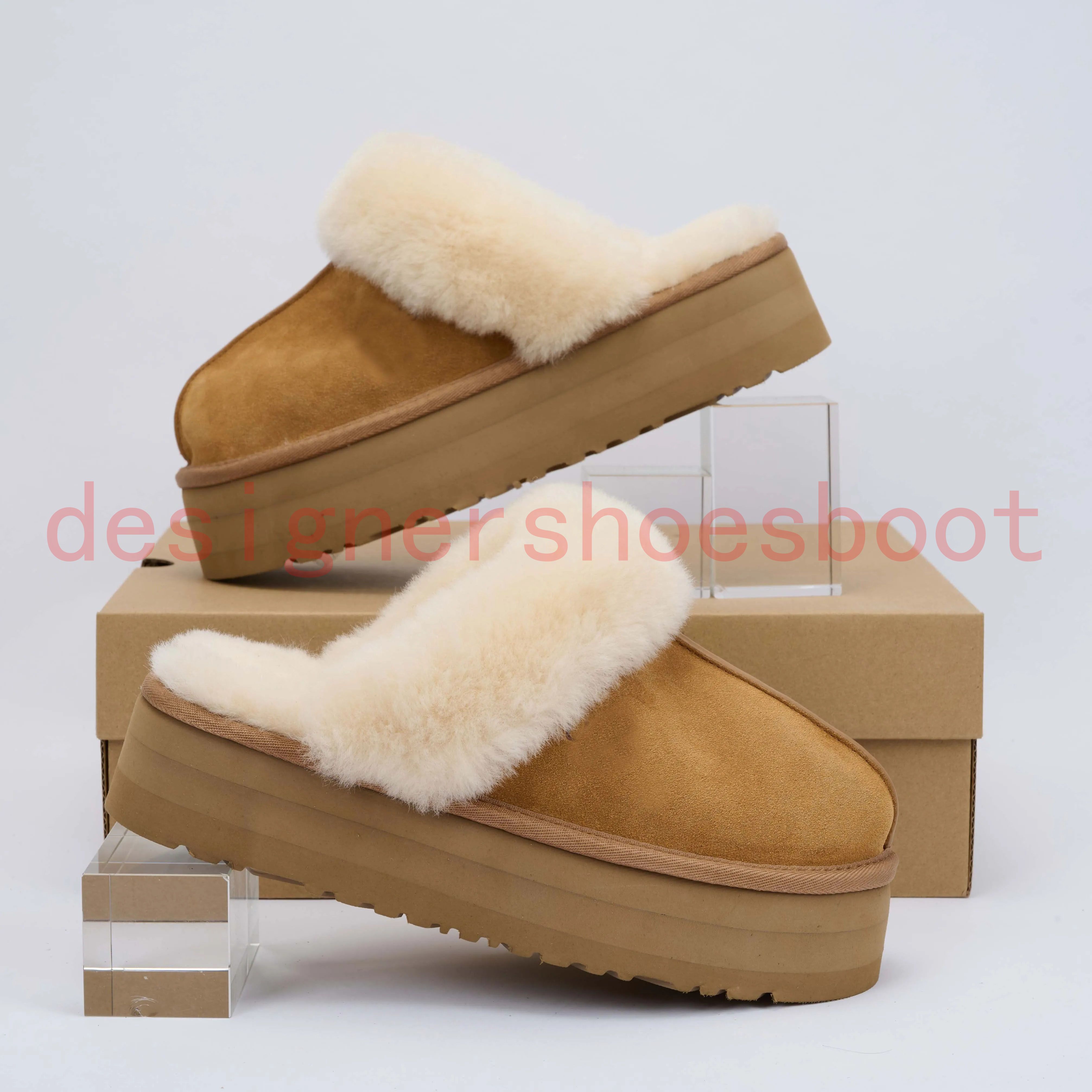 Chestnut slipper