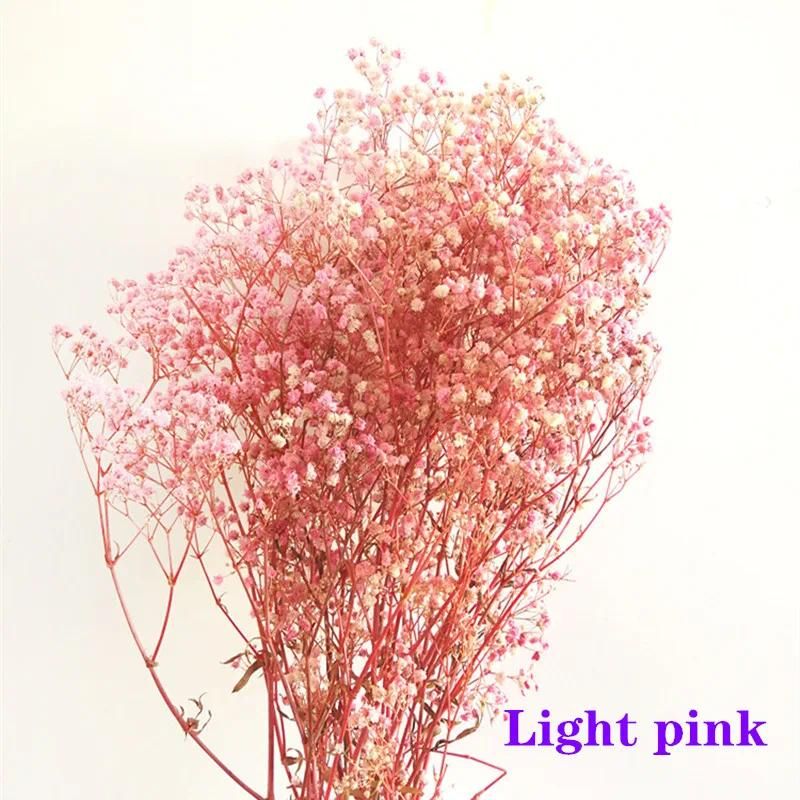 Light pink