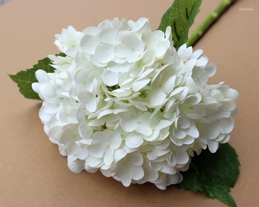 White hydrangea