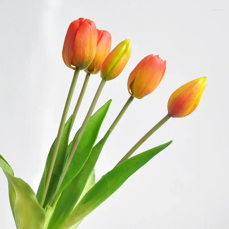Orange tulip