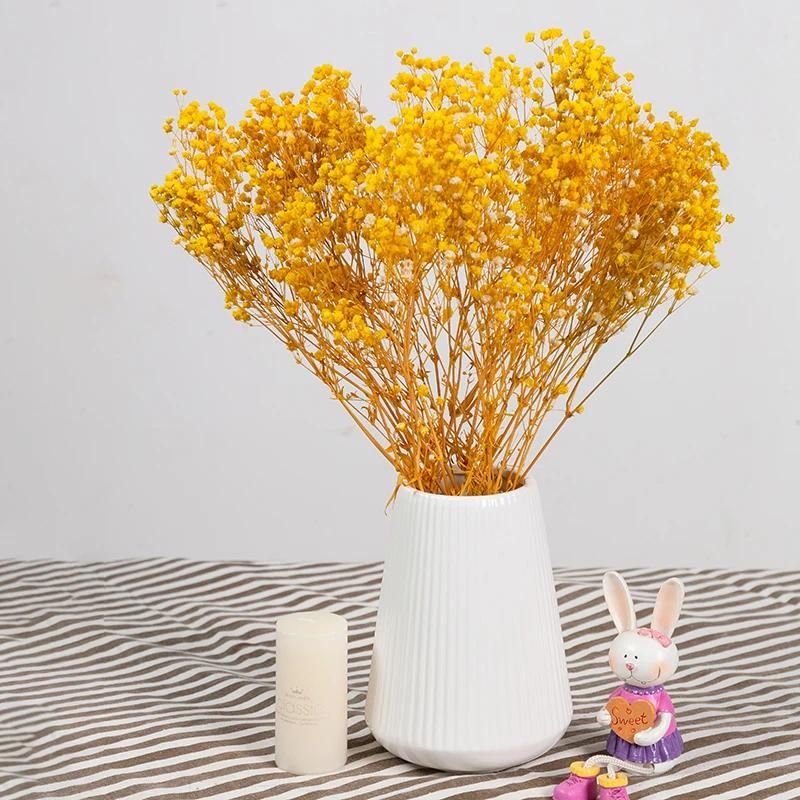 Yellow no vase