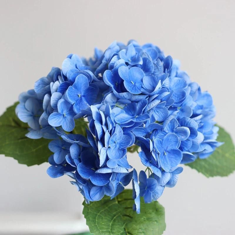 Dark blue hydrangea