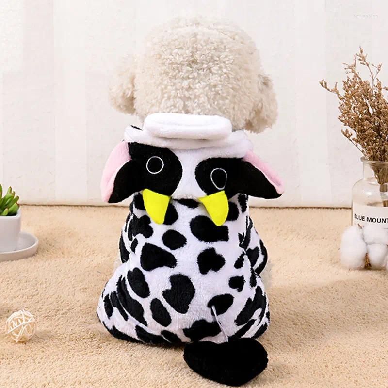 Cow changing outfit