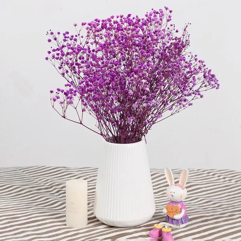Purple no vase