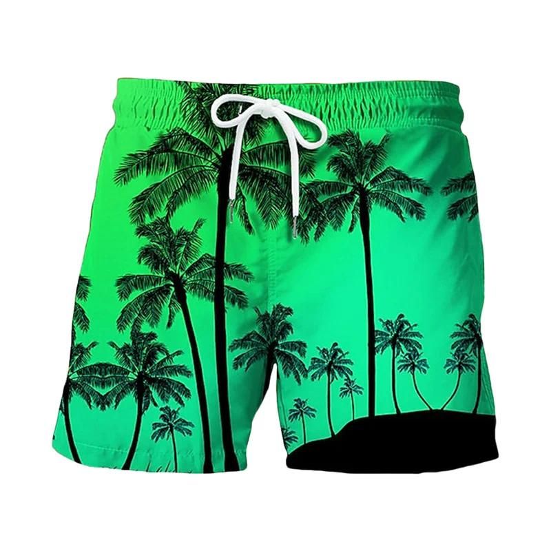 Shorts-PYA35119