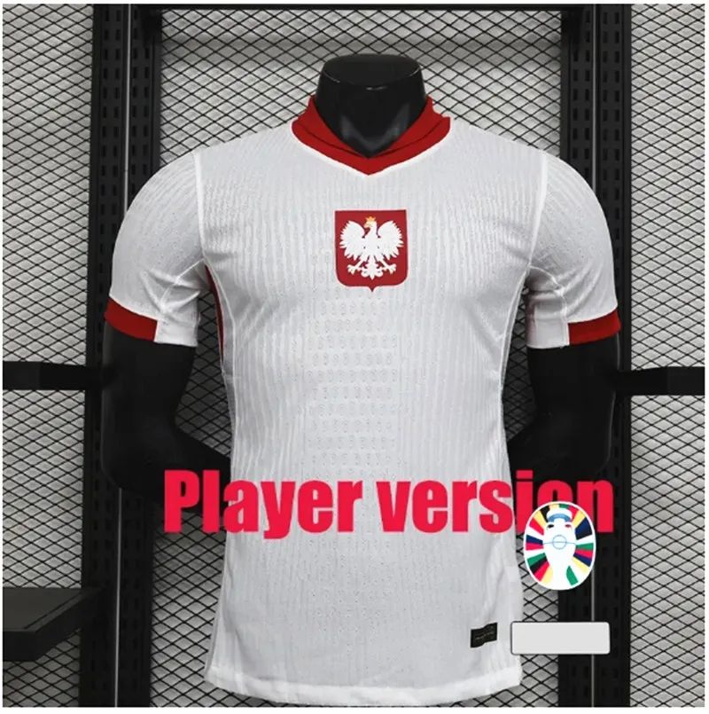 Home player 2024 Euro Patch