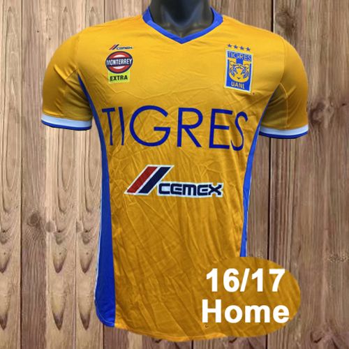 FG21165 2016 2017 Home