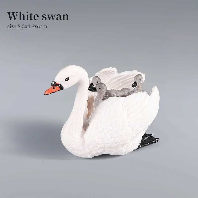 Backed Swan