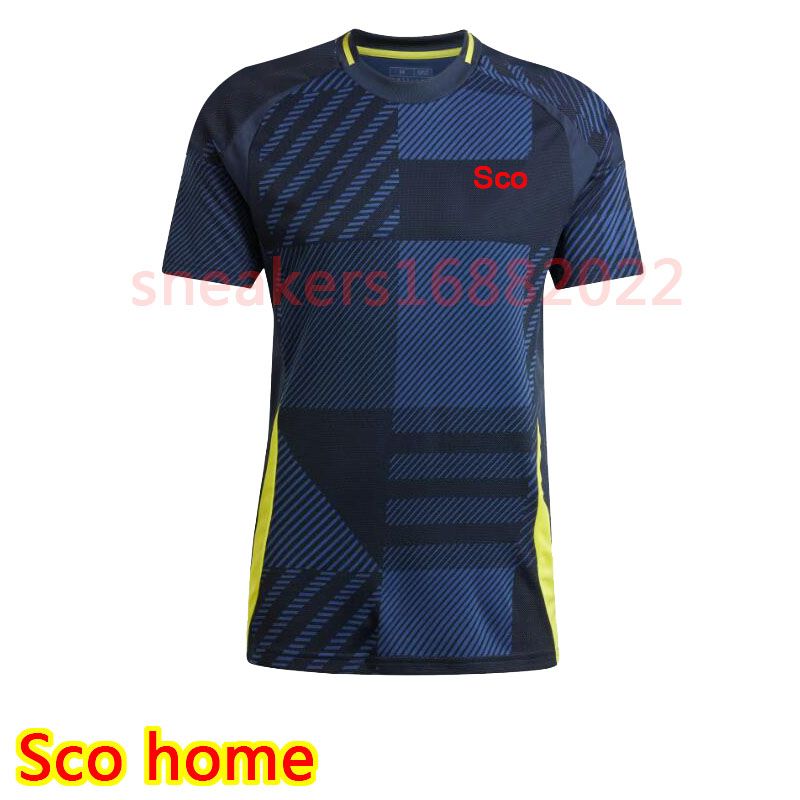 Sco home