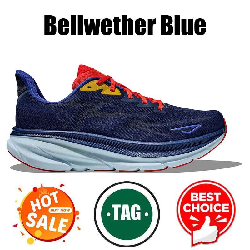 #16 Bellwether Blue 36-47