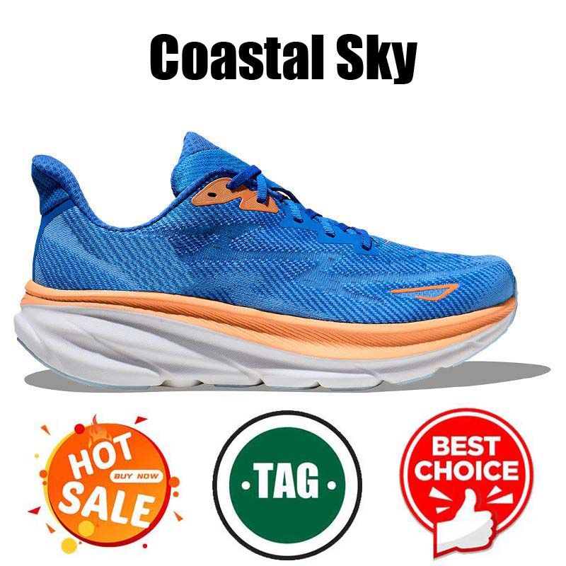 #10 Coastal Sky 36-47